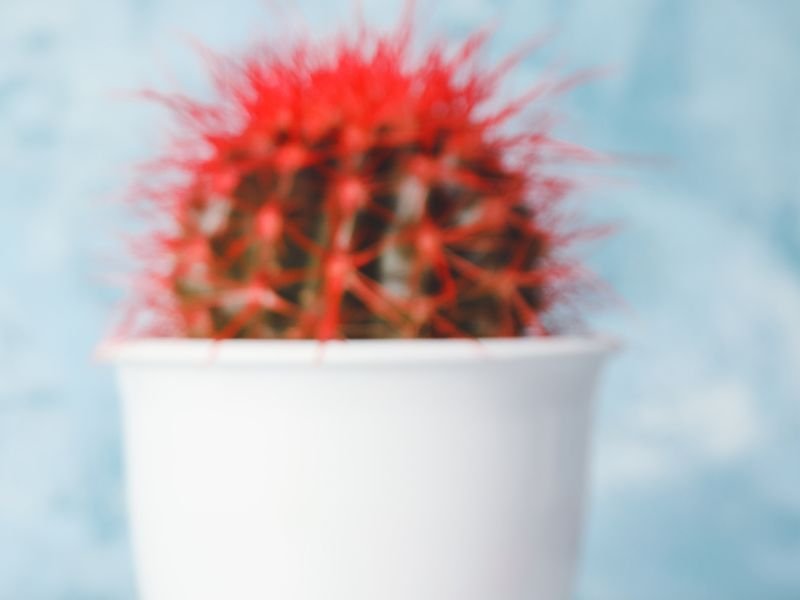 Consulta com proctologista Porto Alegre